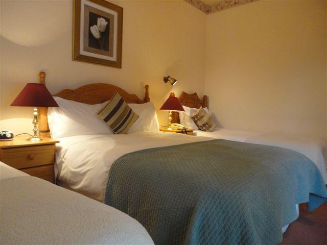 Alpine Guesthouse Dingle Szoba fotó