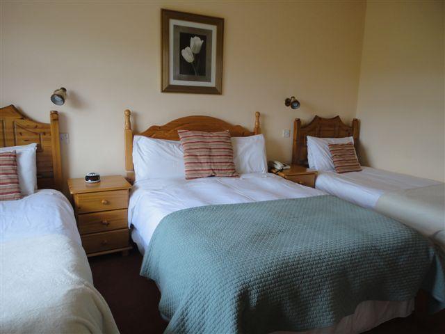 Alpine Guesthouse Dingle Szoba fotó